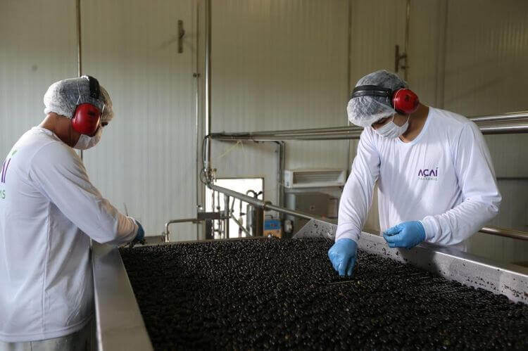 Acai elaboración